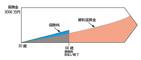 syusin2.jpg